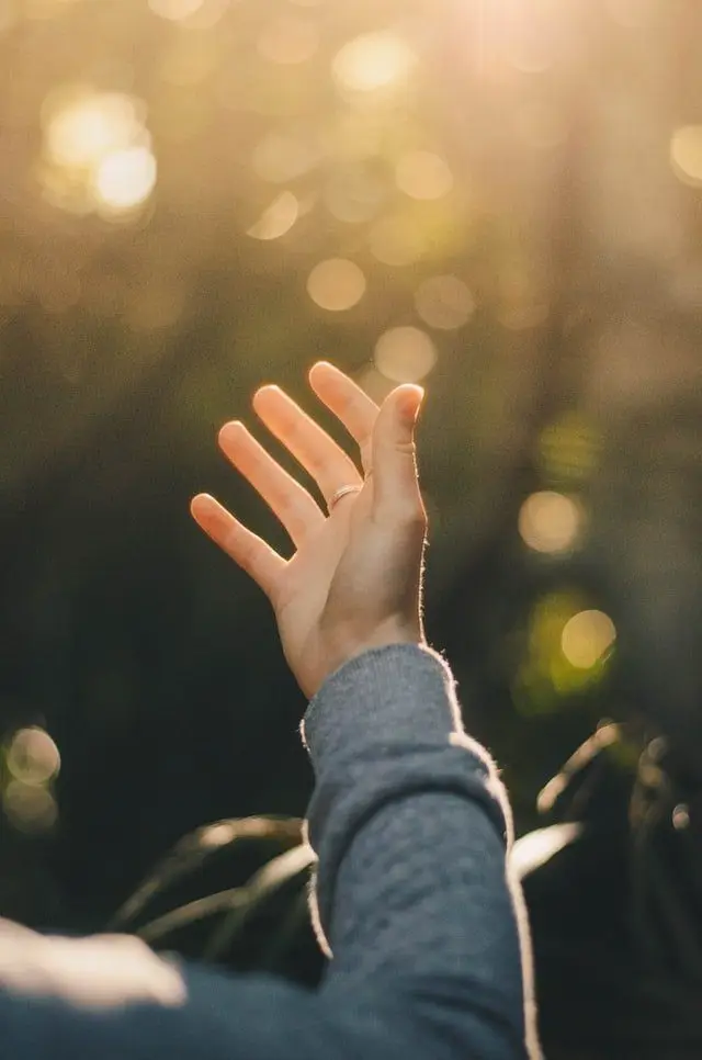 Hand raised in worship